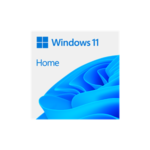 WINDOWS-11